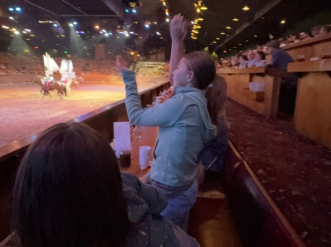 马术歌舞表演餐宴-皮金福奇必去景点