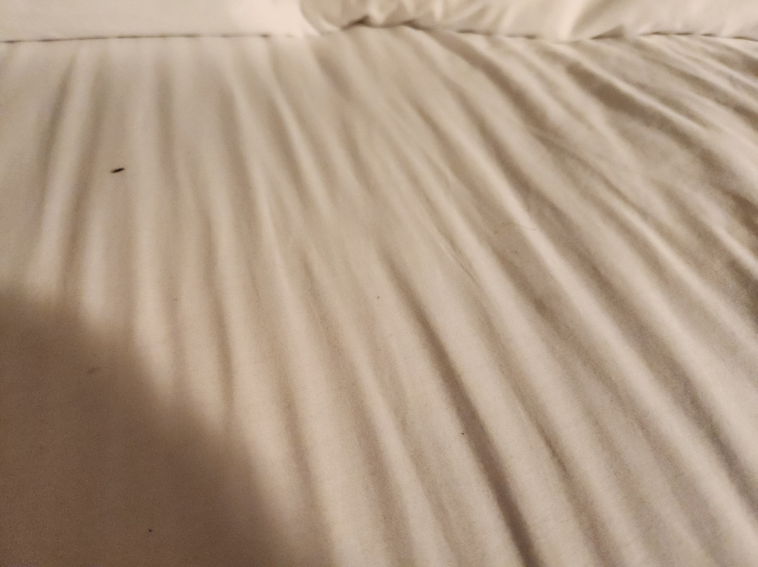 Hilton Garden Inn Olive Branch主图