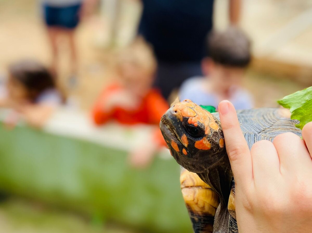 Hotel Fazenda Brisa Itu主图