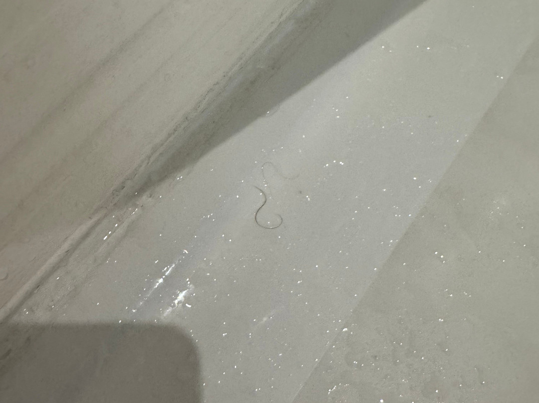 AC Hotel Spartanburg主图