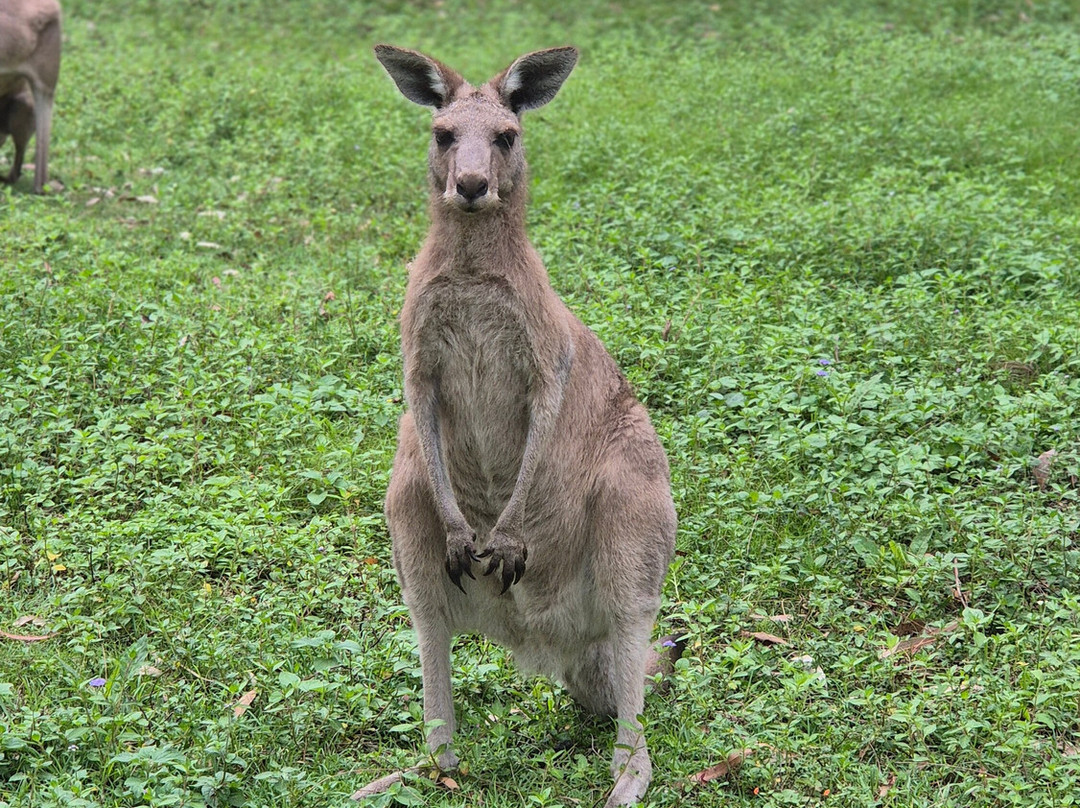 Coombabah Lakes Conservation Area-Coombabah必去景点