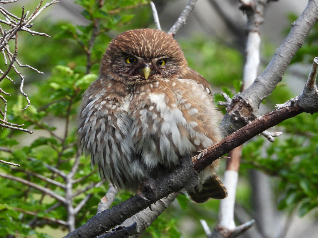Iso100 Outdoor-Torres del Paine必去景点