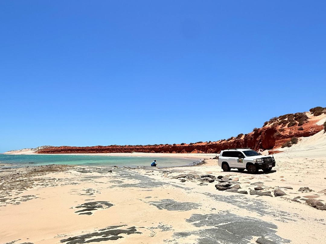 Shark Bay Coastal Tours-德纳姆必去景点