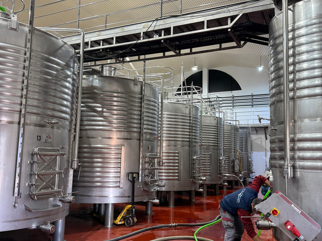 Viñas Del Jaro-Pesquera de Duero必去景点