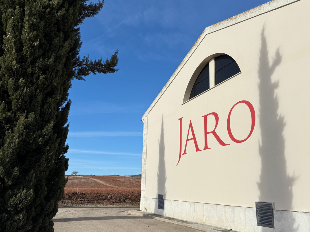 Viñas Del Jaro-Pesquera de Duero必去景点