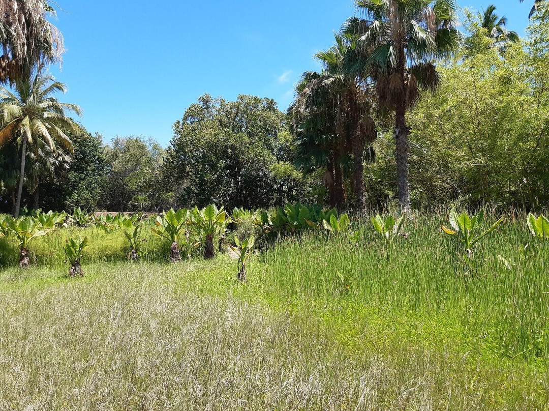 Jardin d'Eden-圣吉尔莱班必去景点