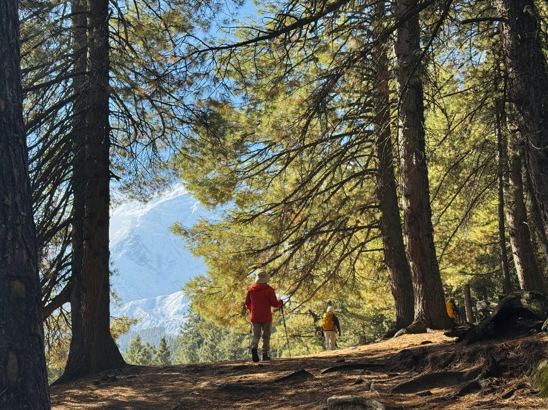 Hunza Guides Pakistan Tours Trekking & Expeditions-伊斯兰堡必去景点