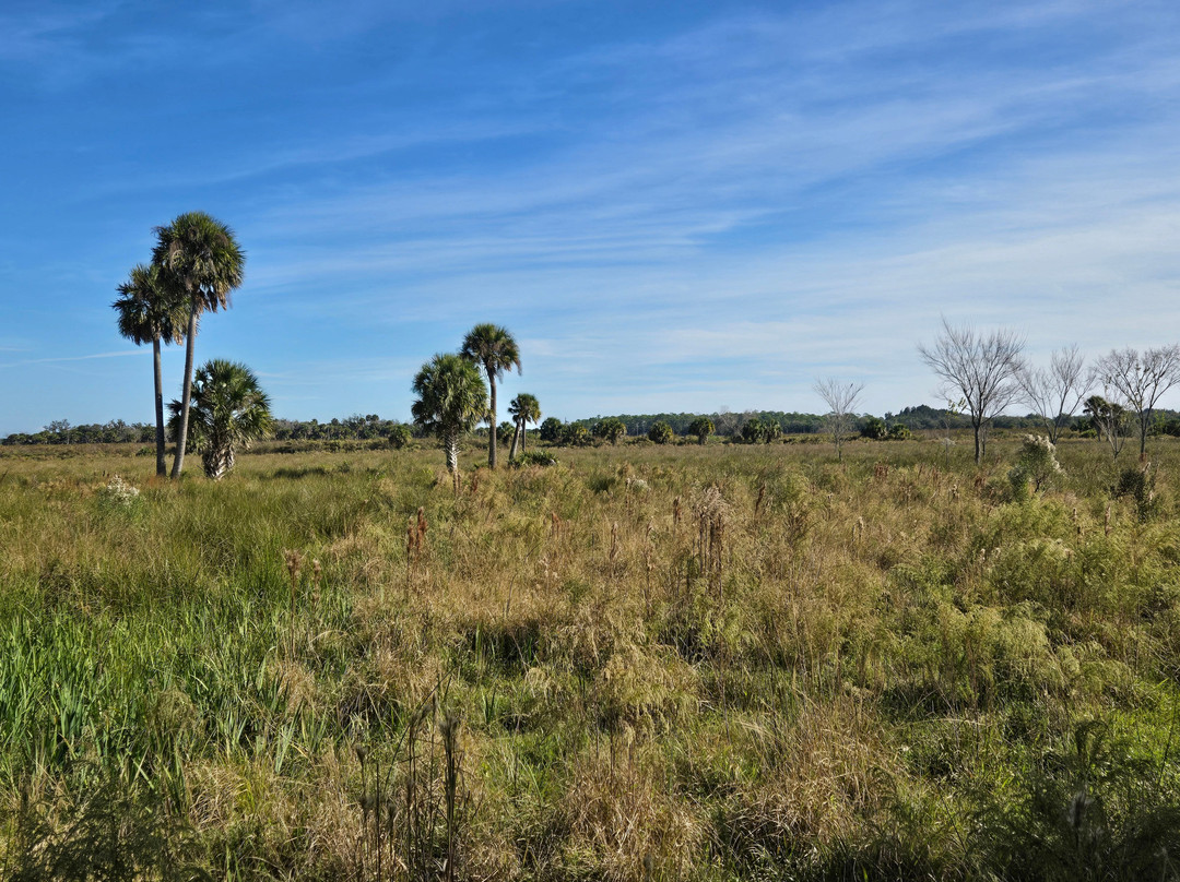 Wagon Wheel Horse Farm-奥基乔比必去景点