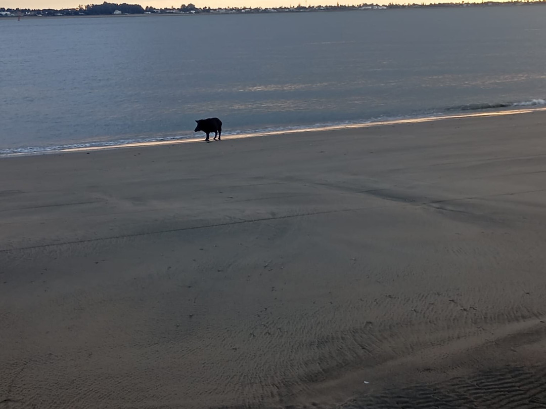 Donana Visitas-El Rocio必去景点