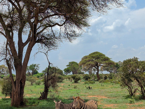 Eddison Safari Kenya-瓦塔木必去景点