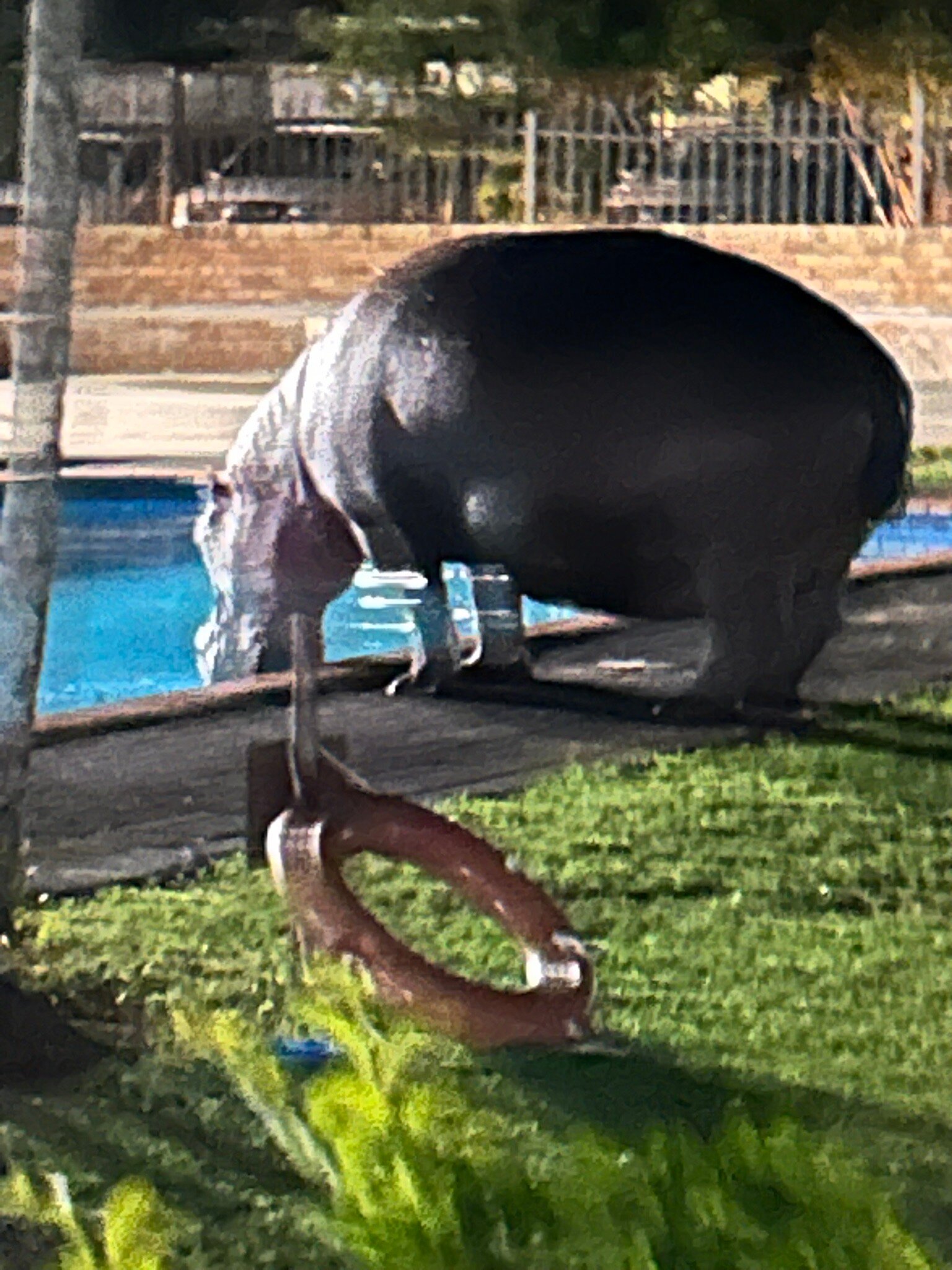 Elephant Lake Hotel-官方