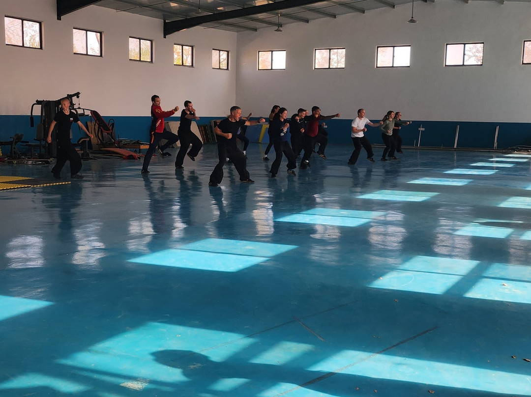 Maling Shaolin Kung Fu Academy-新沂市必去景点