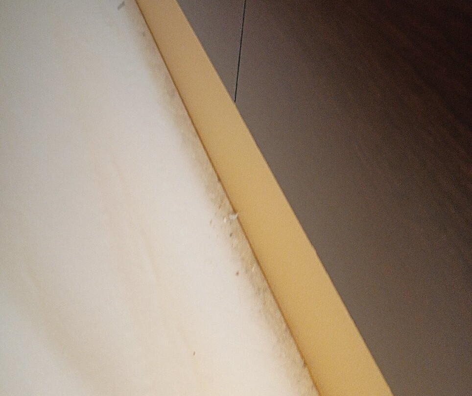 Fairfield by Marriott Inn & Suites Palm Coast I-95主图