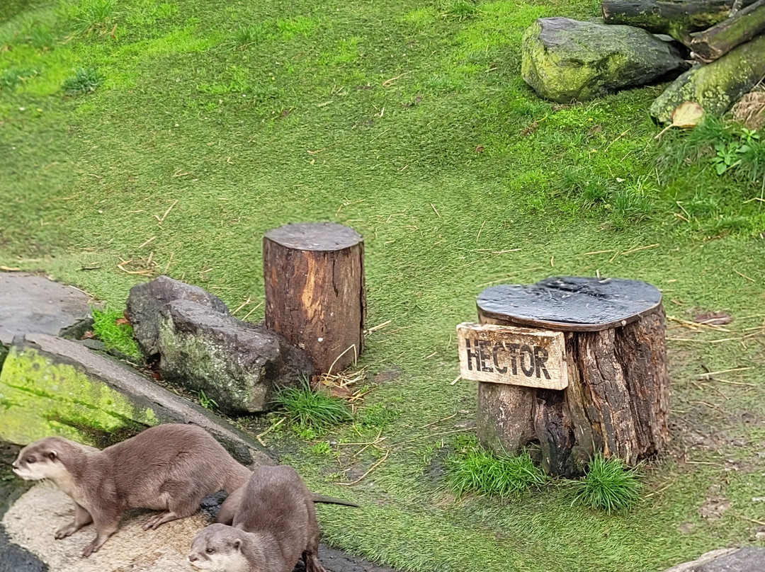Sea Life Blankenberge-布朗肯堡必去景点