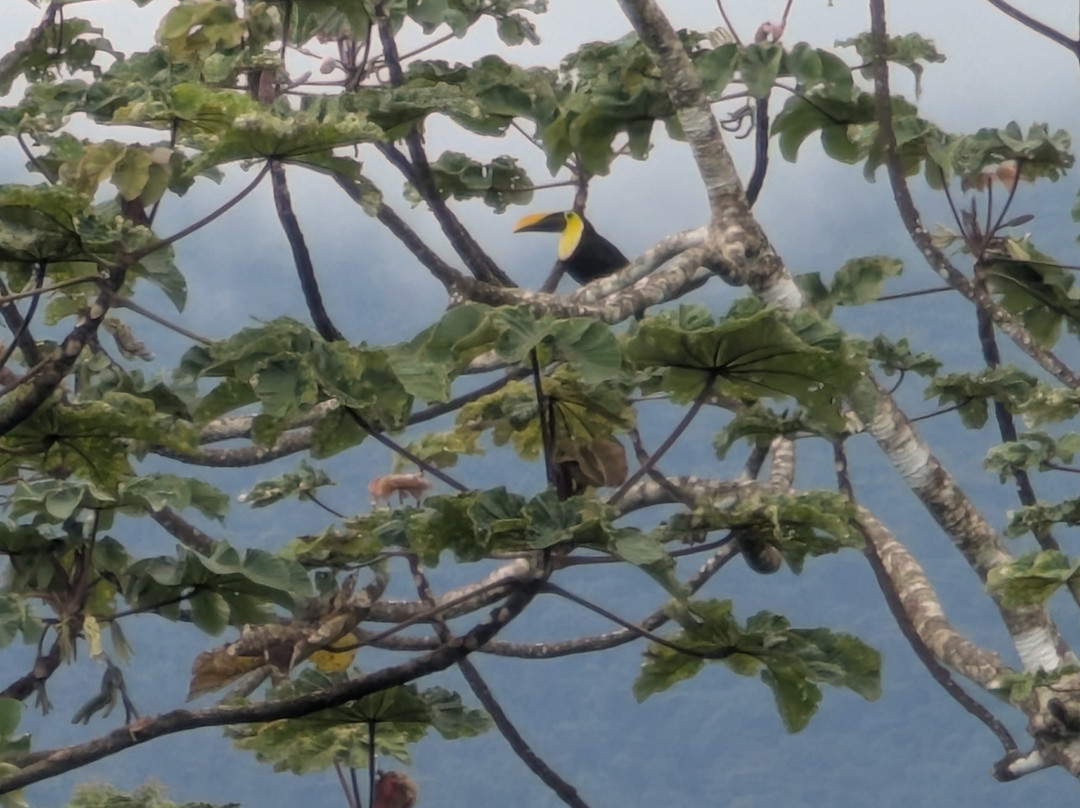 Brother's Adventures Tours-萨迪纳尔必去景点