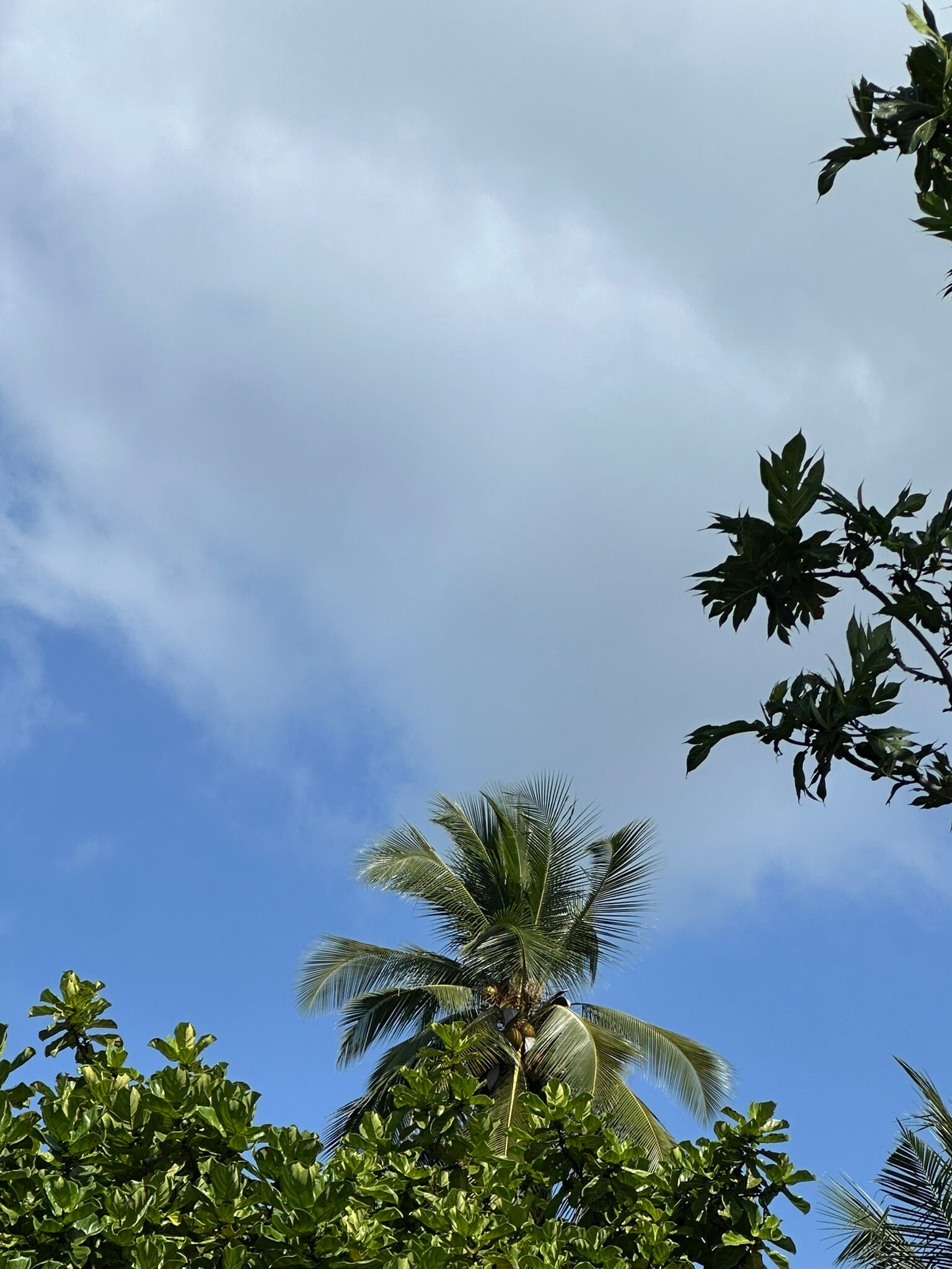 普吉岛麦考安纳塔拉别墅度假酒店-官方