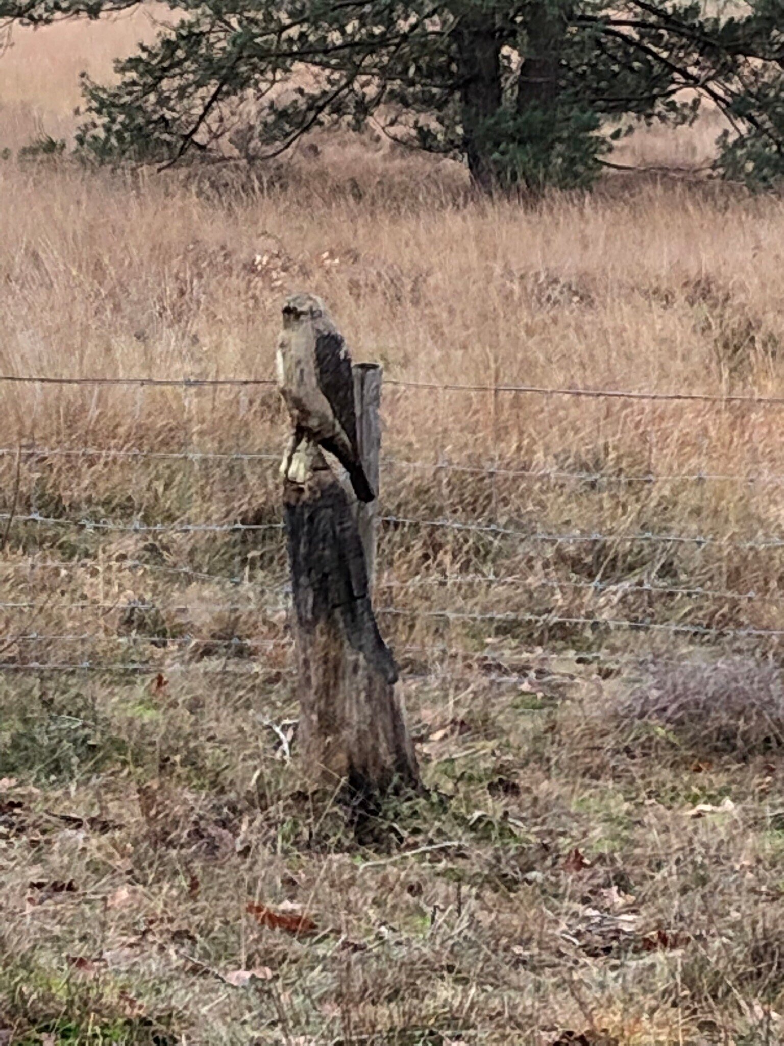 Veluwe Hotel Stakenberg-官方