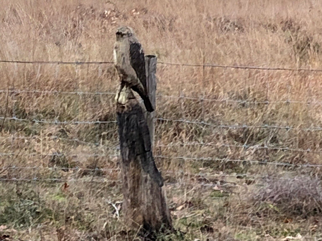 Veluwe Hotel Stakenberg主图