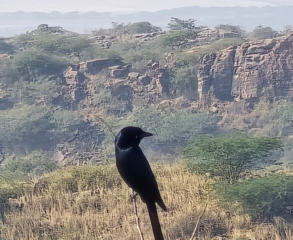 Kala Dungar-Kutch必去景点