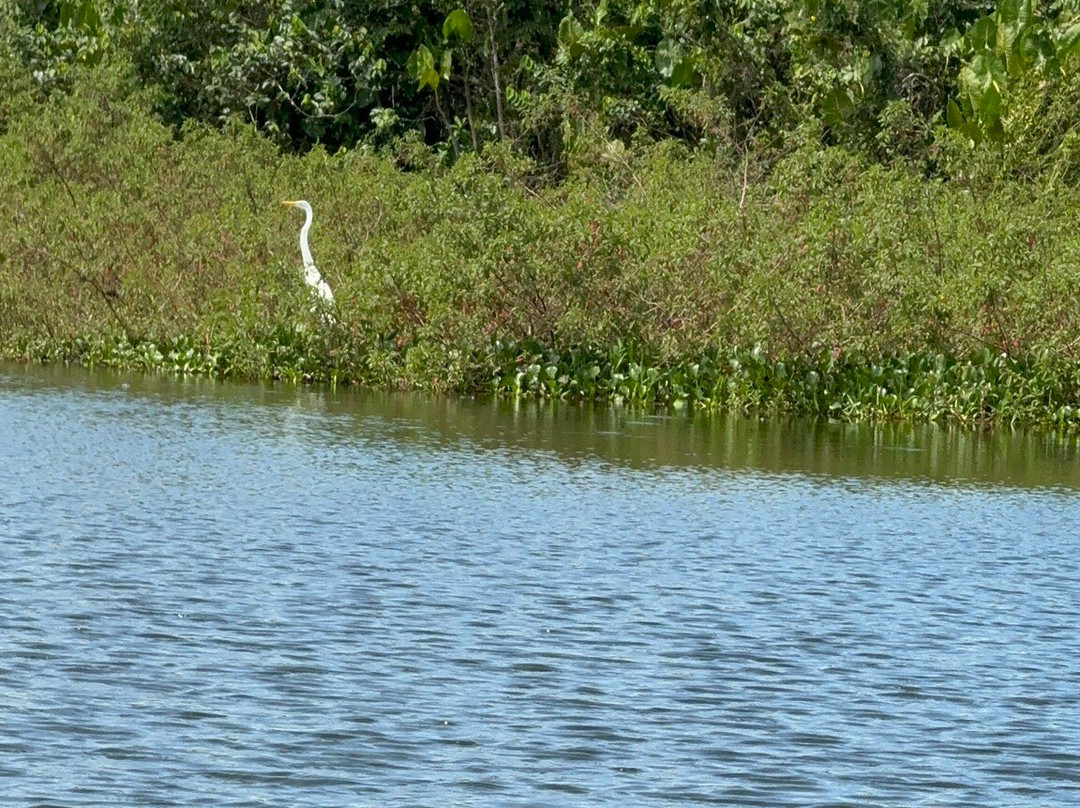 Lagoa Encantada-Ilheus必去景点