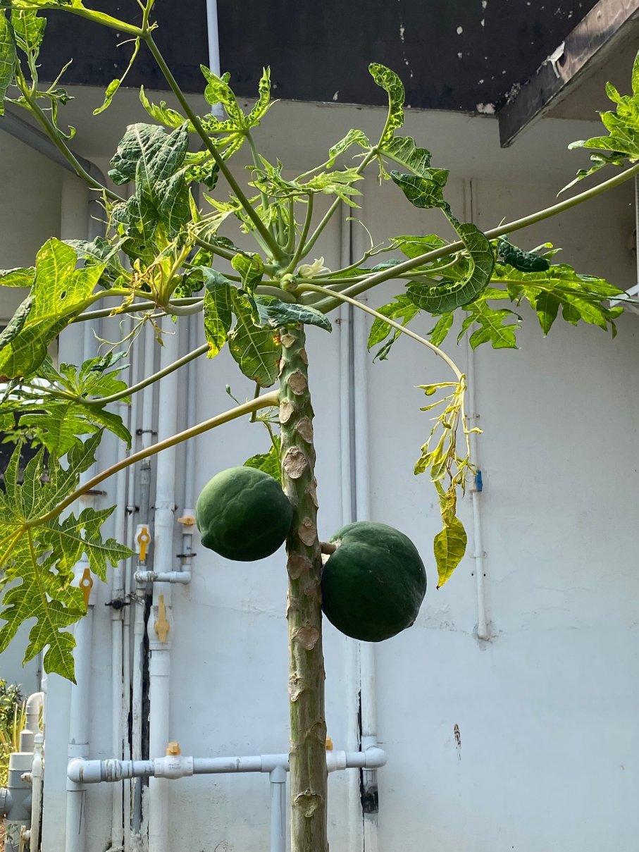 ILLIKKALAM Lakeside Cottages-浴室