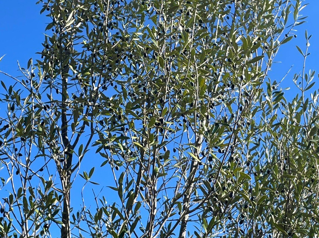 Queda do Vigário-Alte必去景点