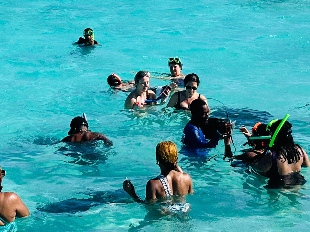 Stingray City-安提瓜必去景点