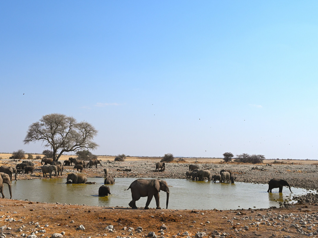 Rare Earth Tours-温德和克必去景点