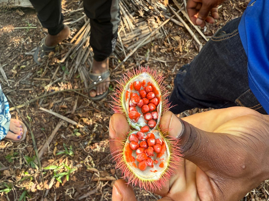 Moha Zanzibar Tours-石头城必去景点