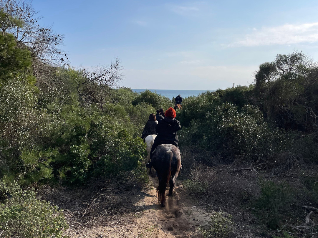 Family Horses 373-5361953-Marina di Ginosa必去景点
