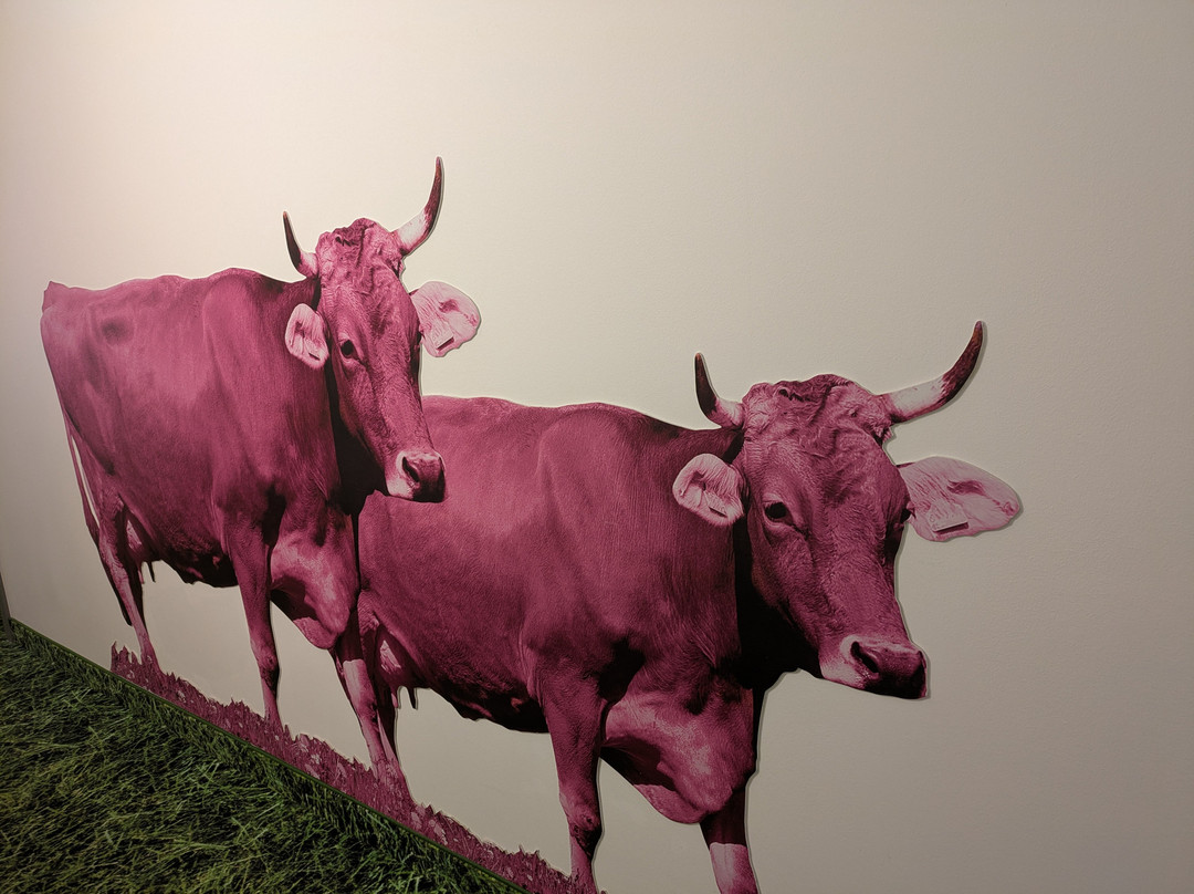 Felix Hotel Kaufbeuren主图