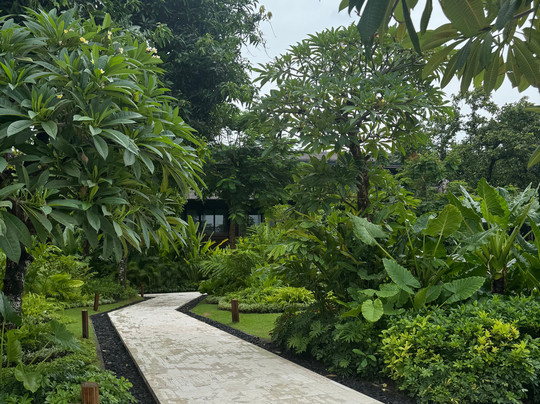 Taru Pramana Spa-Sanur Kaja必去景点