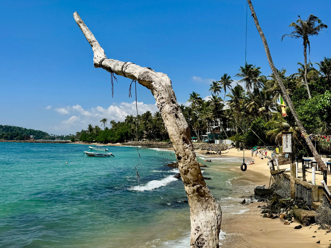Coconut Tree Hill-美蕊沙必去景点