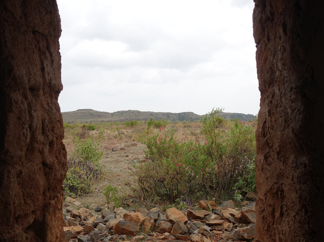 Lucy Ethiopia Tours-亚的斯亚贝巴必去景点