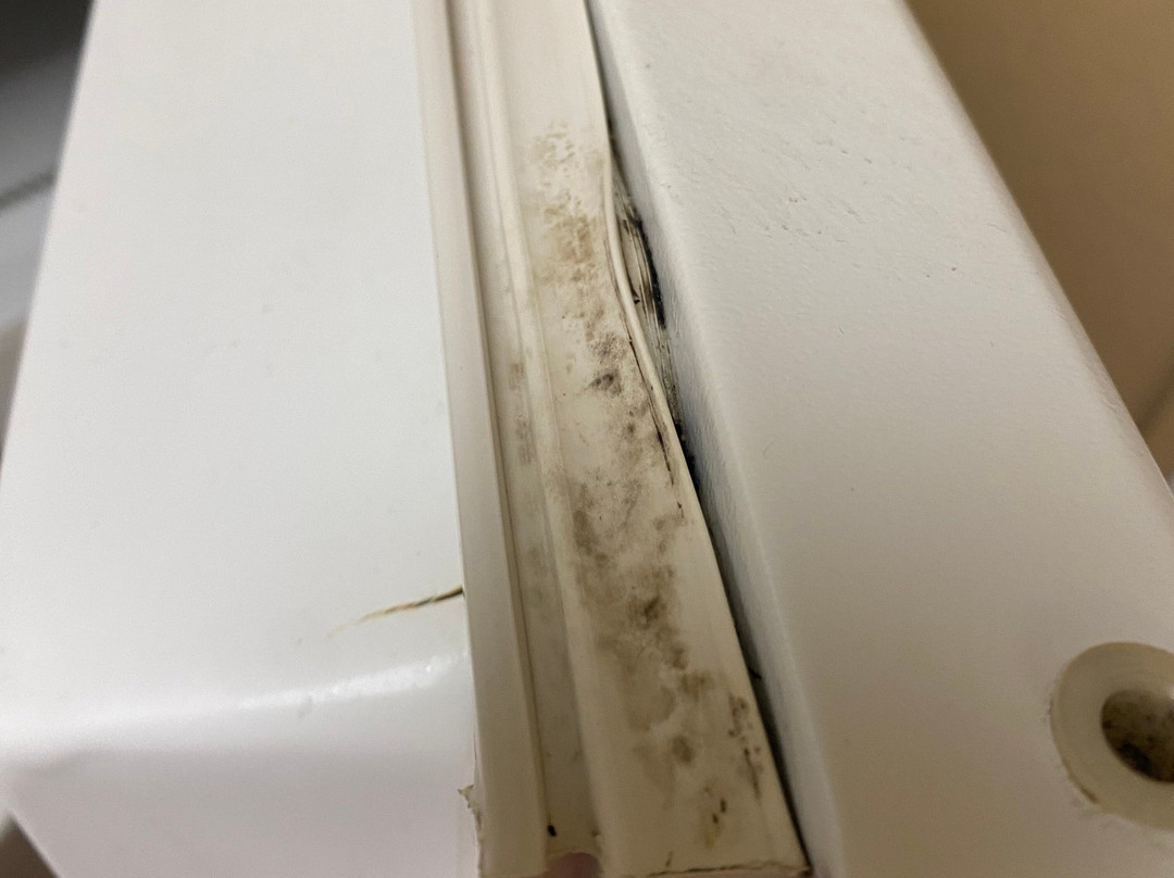 Extended Stay America Chicago - Westmont - Oak Brook主图