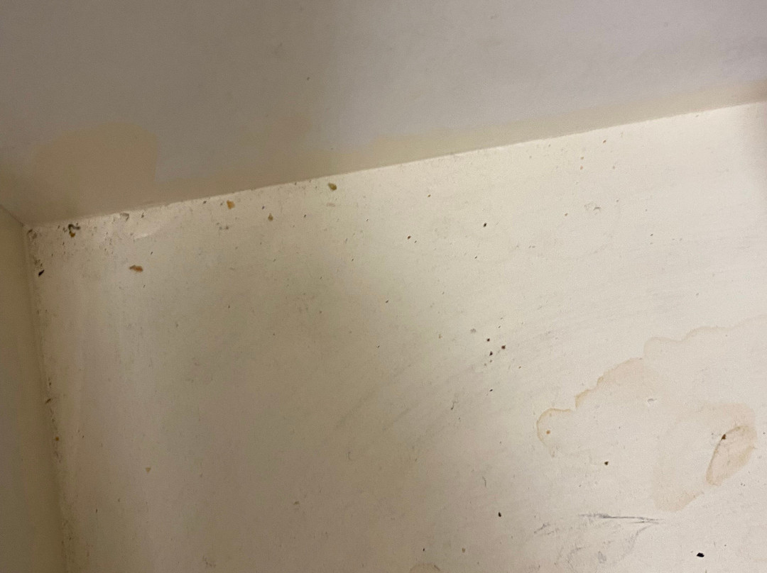 Extended Stay America Chicago - Westmont - Oak Brook主图