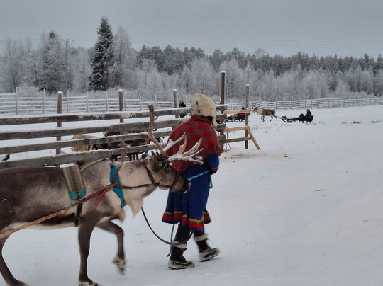 Ounaskievari Reindeer Farm-Kongas必去景点