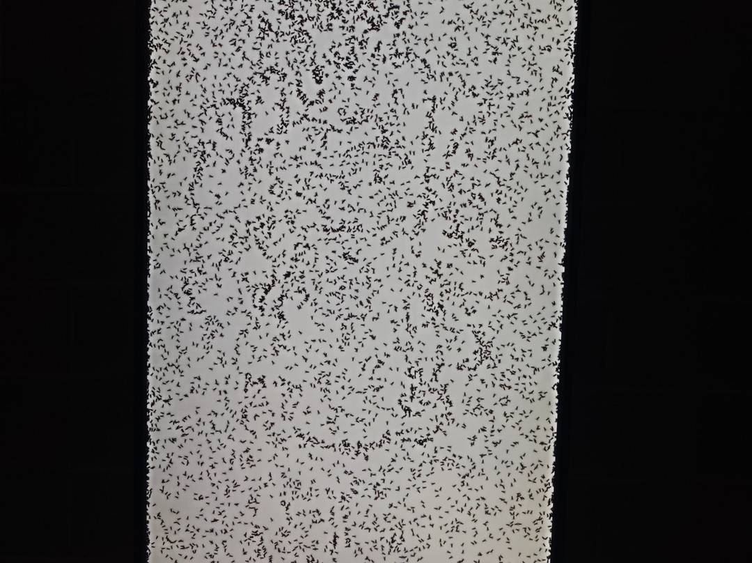 New Art Foundation-雷乌斯必去景点