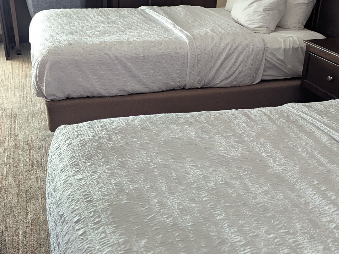 埃文斯维尔希尔顿恒庭酒店主图