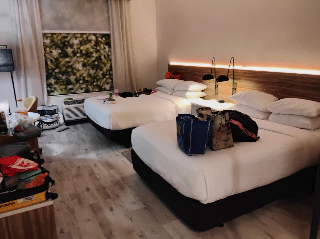 Wyndham Garden Orlando Airport主图