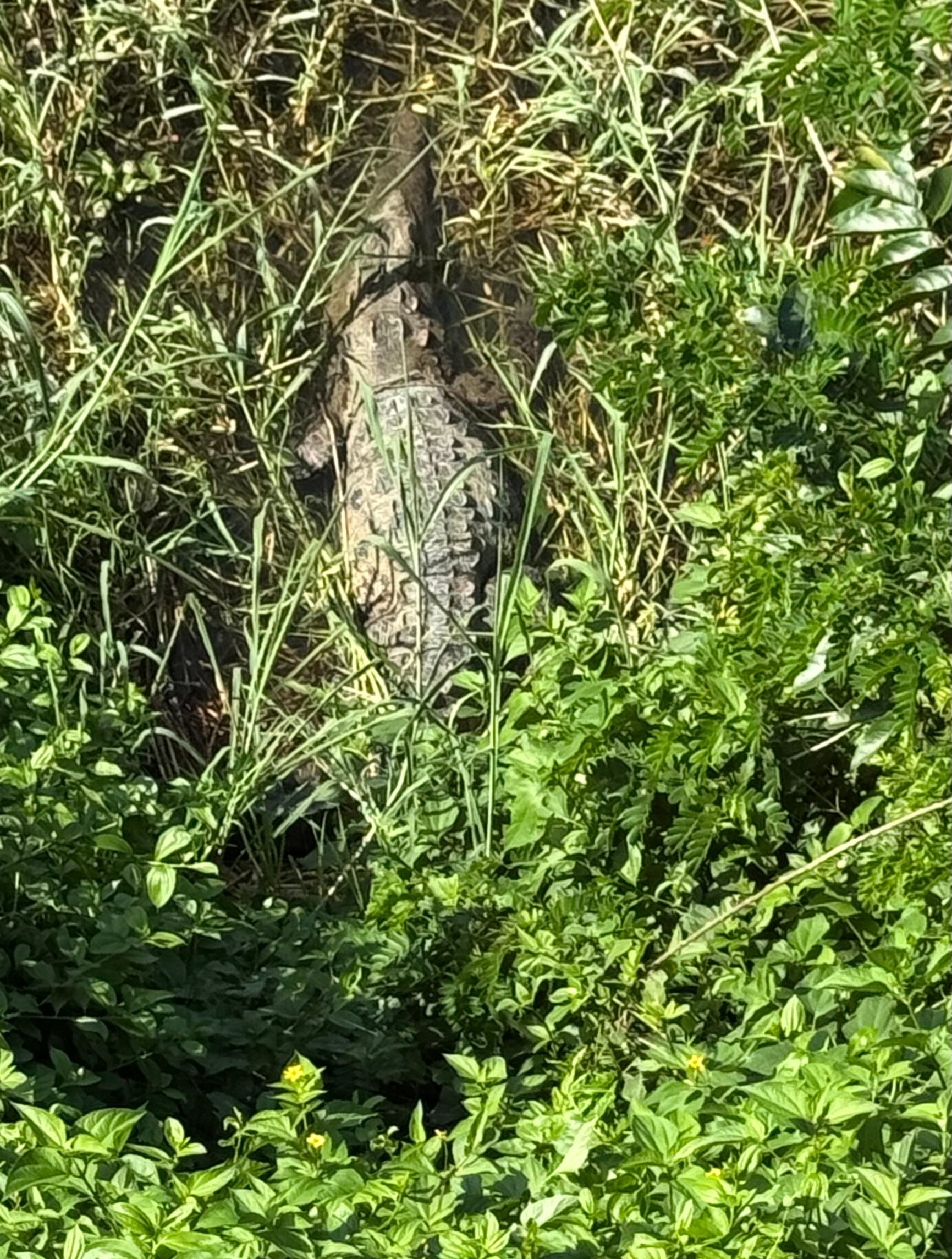 Finca Barlovento Maloka Cabana-浴室