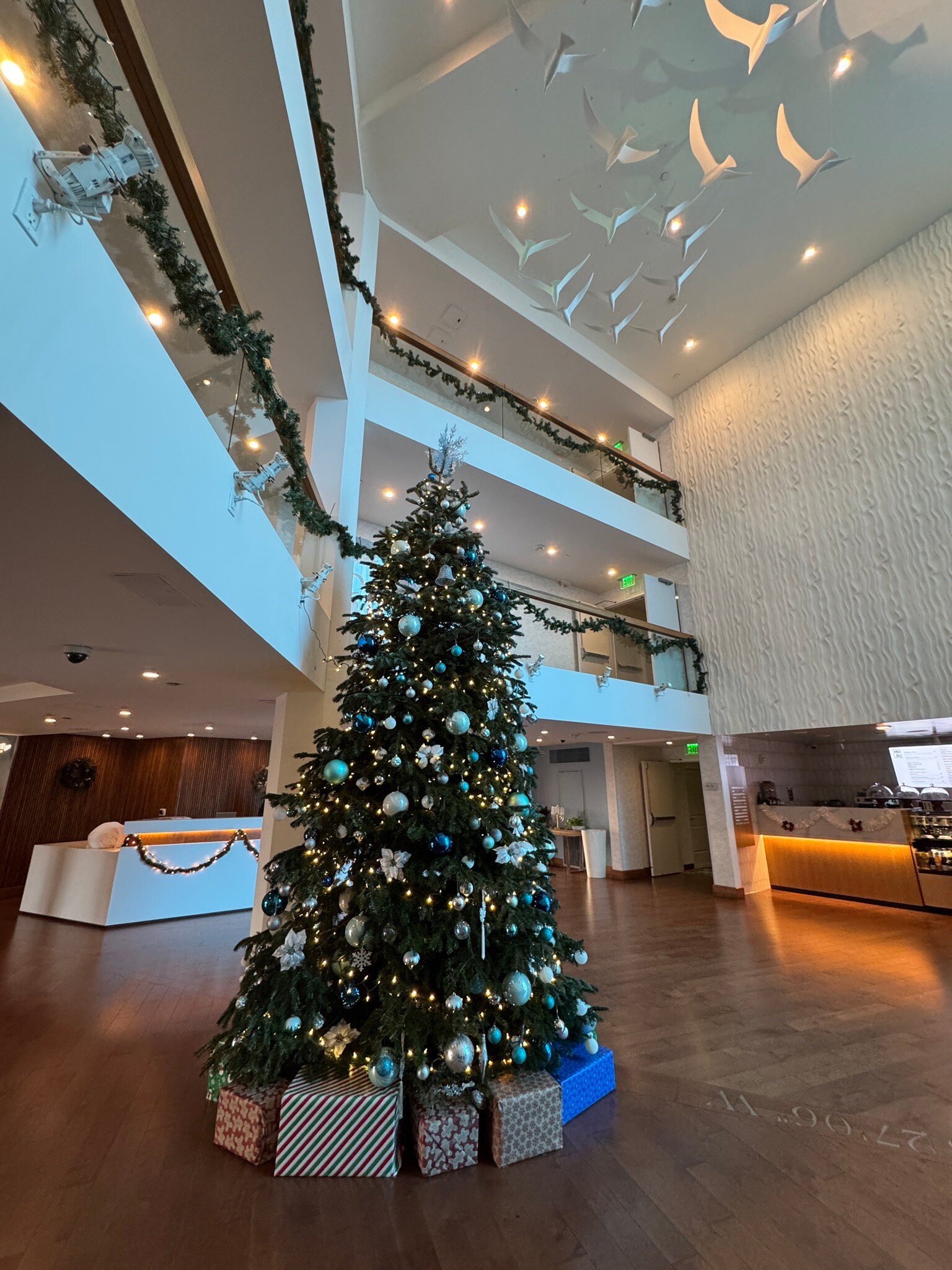 玛丽安德尔雷酒店-官方