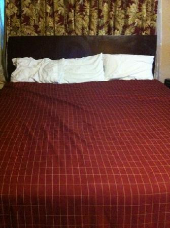 The Garden Villas主图