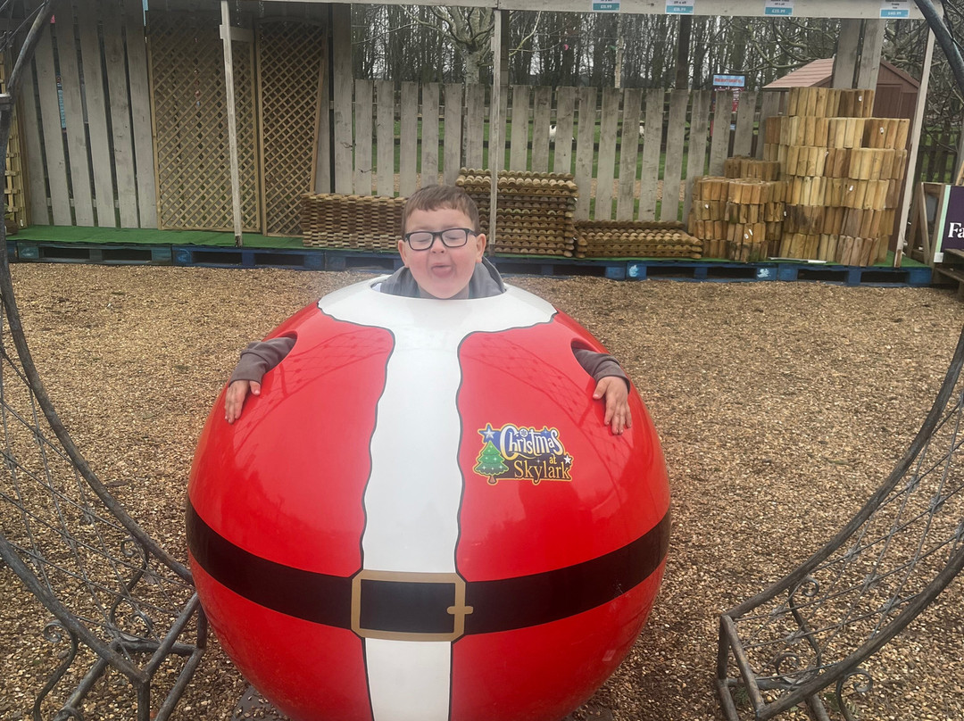 Skylark Maize Maze & Funyard-March必去景点