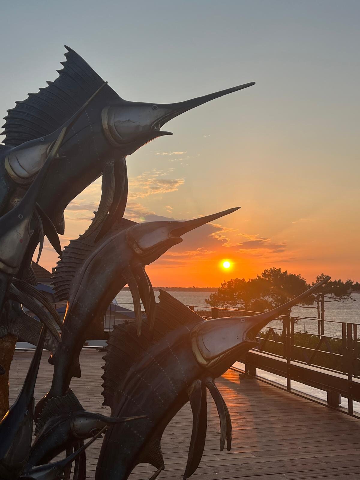 Yatt Hôtel Le Moulleau-浴室