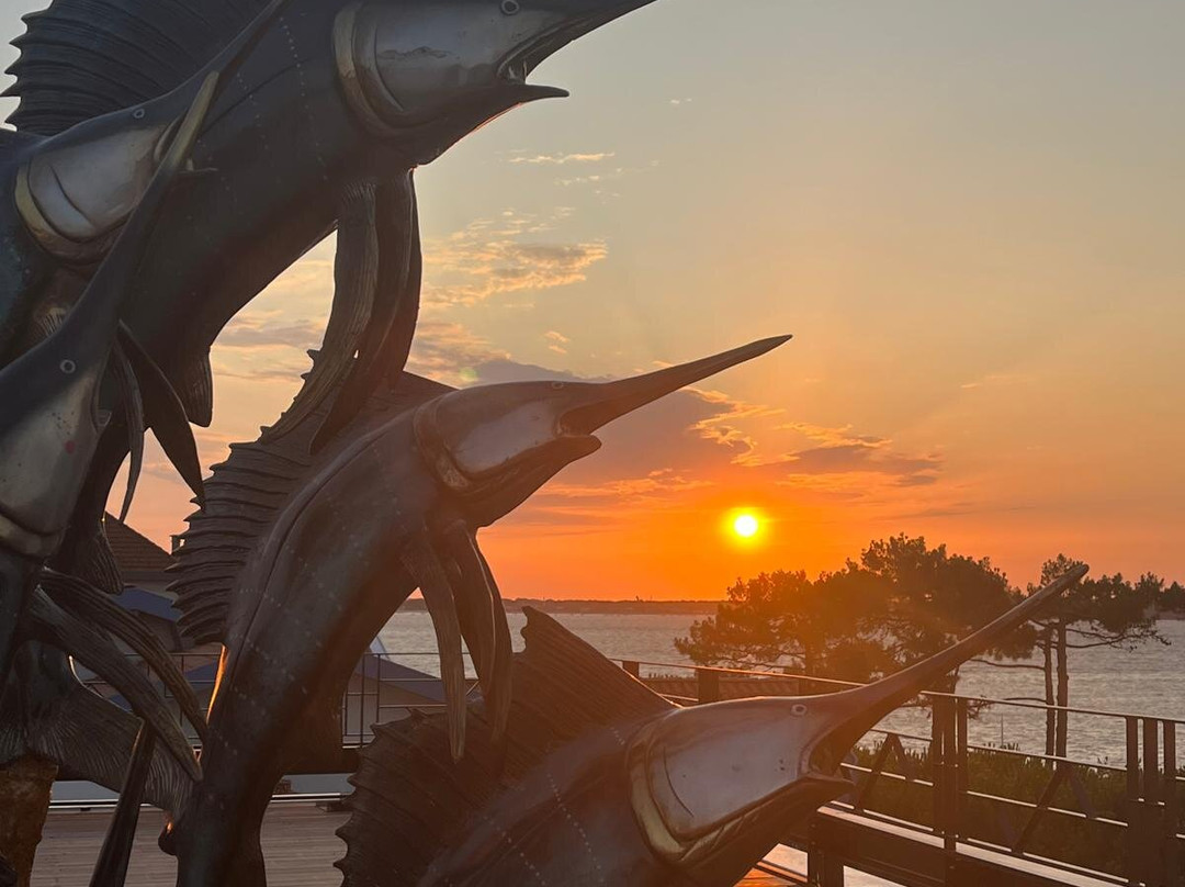 Yatt Hôtel Le Moulleau主图