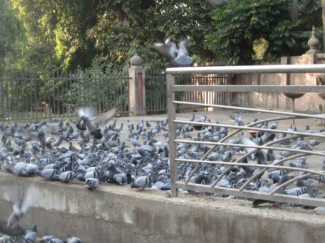 Maharaja Ranjit Singh Museum-阿姆利则必去景点