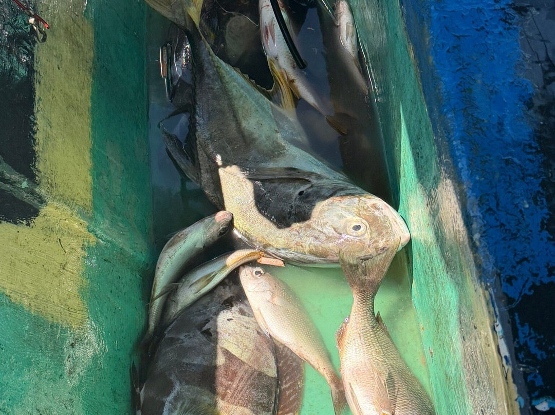 Real Dreams Sport Fishing and Tours-Esterillos Oeste必去景点