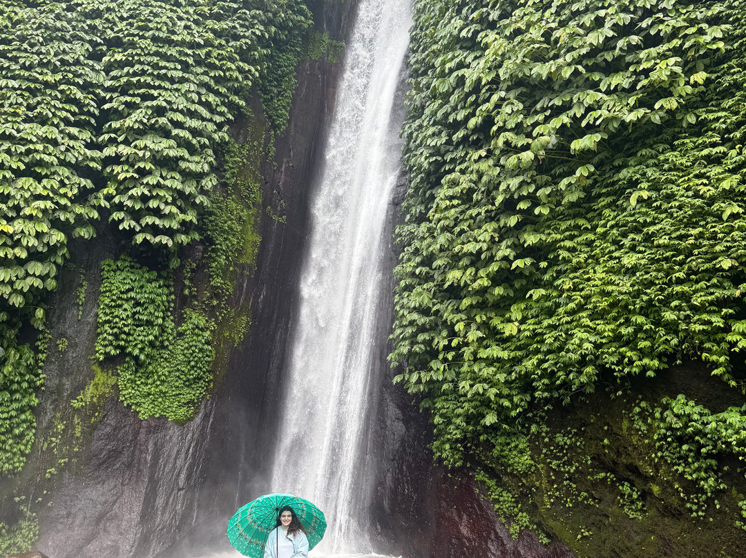 Bli Gojink Bali Professional Bali Driver-新加拉惹必去景点