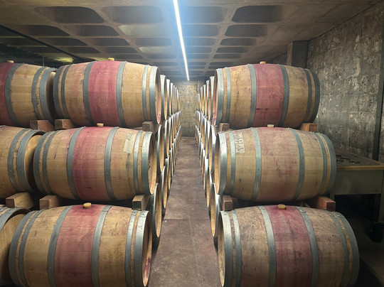 Kanonkop Wine Estate-斯泰伦博斯必去景点